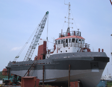 Ship Owner's Construction Risk